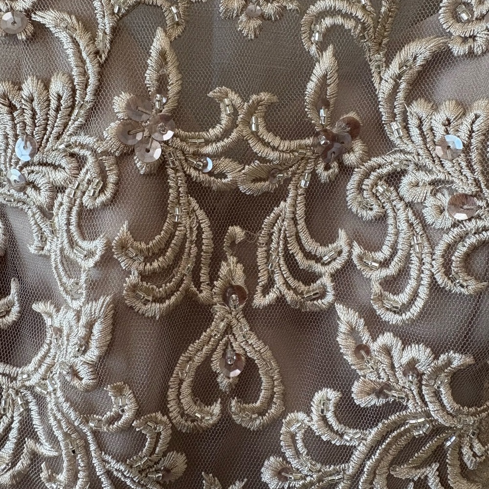 MORILEE,Elegant Chiffon Formal Dress,Size 10 - Picture 15 of 15